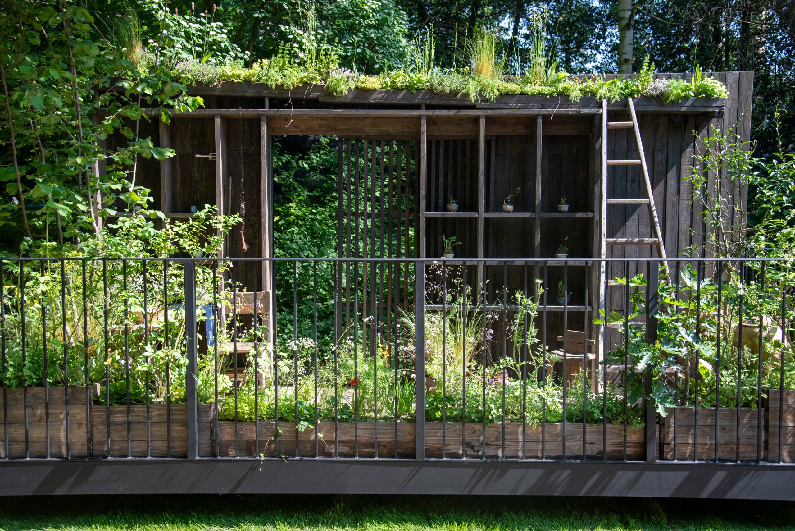 Tomie’s Cuisine the Nobonsai at RHS Chelsea Flower Show. Designed by Tsuyako Asada. Sponsored by Tomie’s Cuisine, Takehiro Niwaki and Alice Gar Design. Balcony Garden.