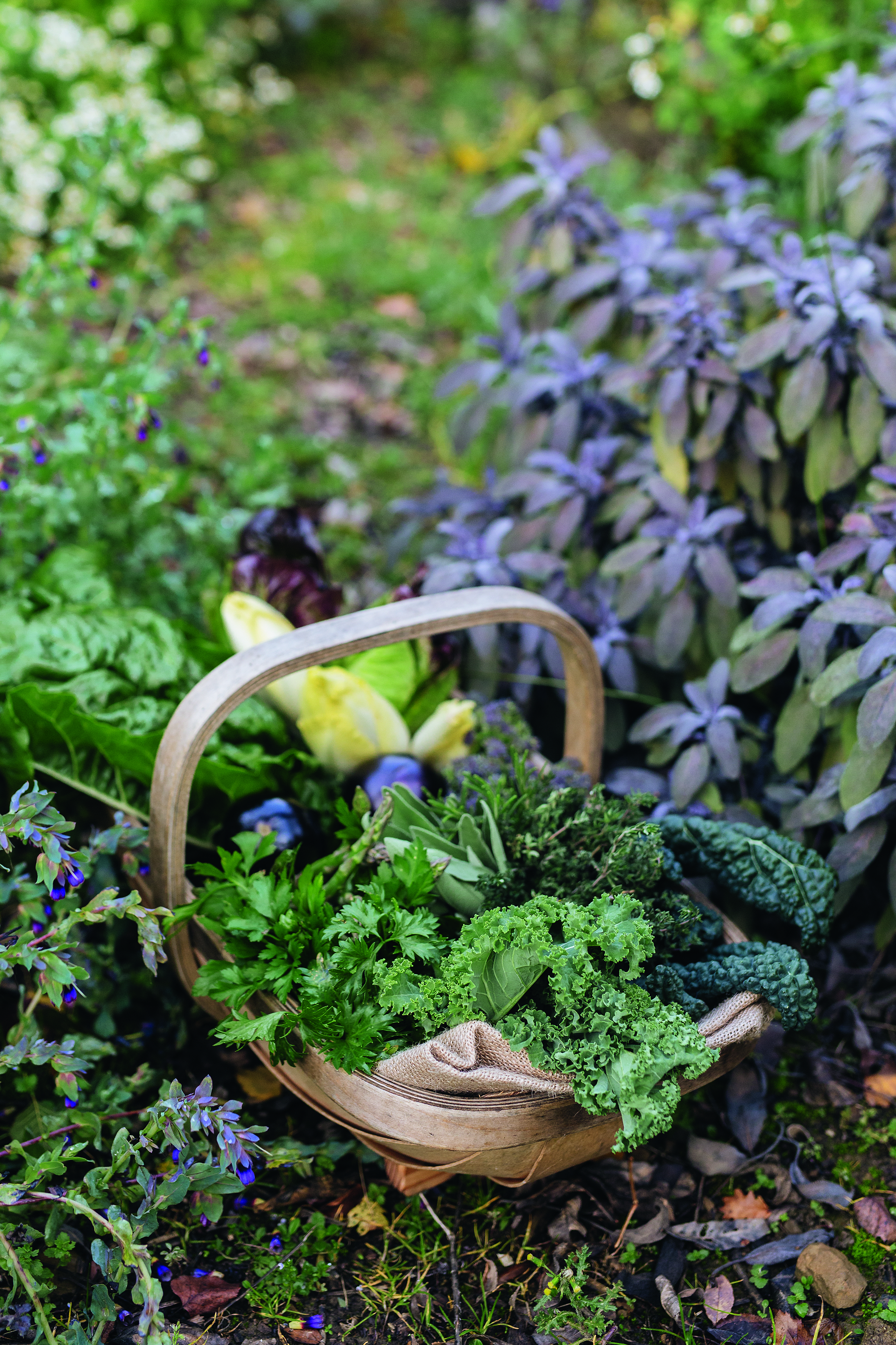 Our ingredients