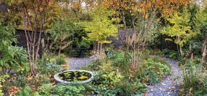 South London garden designed by Stefano Marinaz South London garden designed by Stefano Marinaz