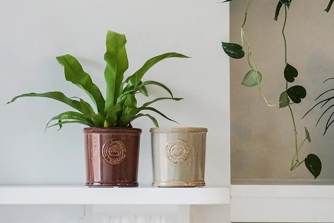 Kew Reactive Glaze Plant Pots on a shelf