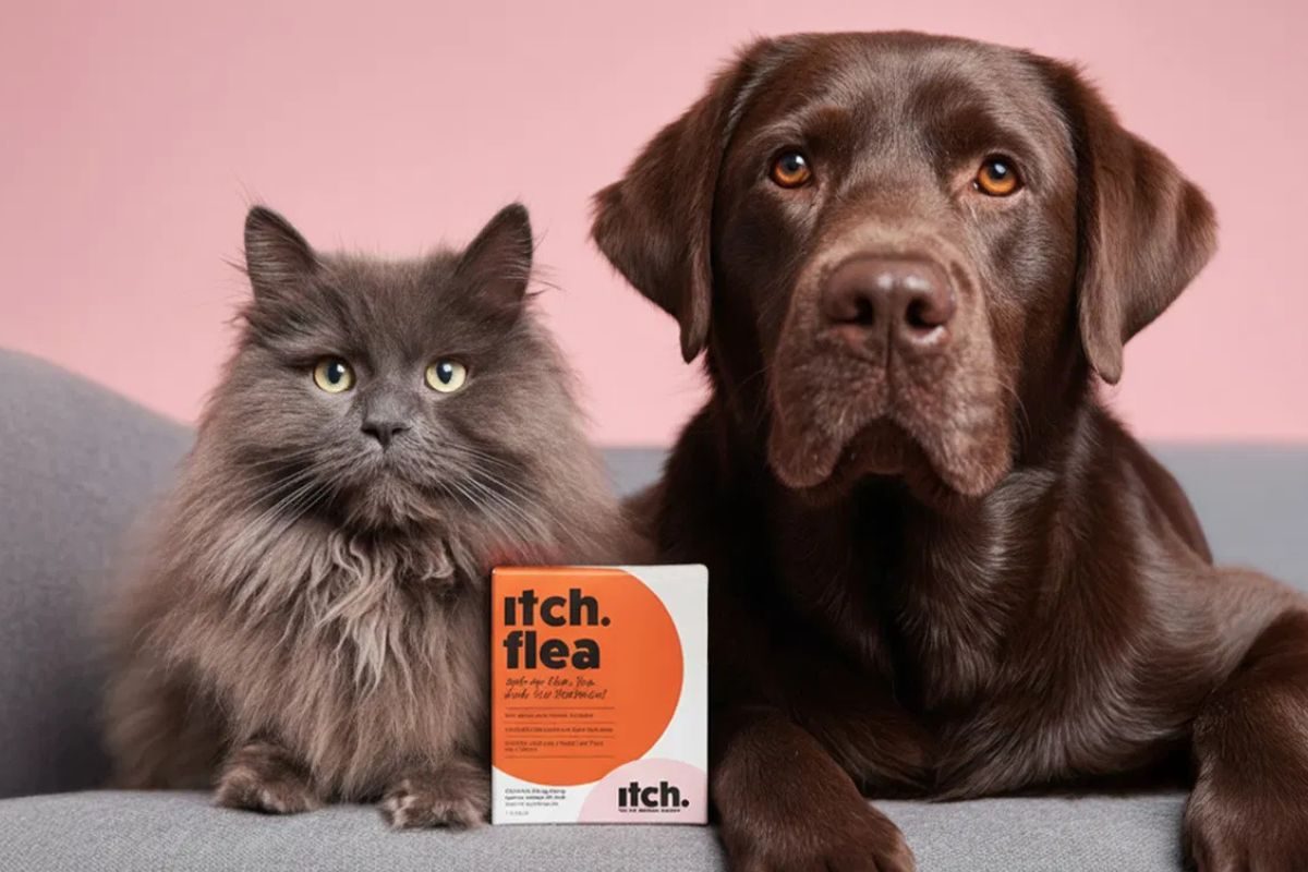A cat and dog next to Itch Flea treatment