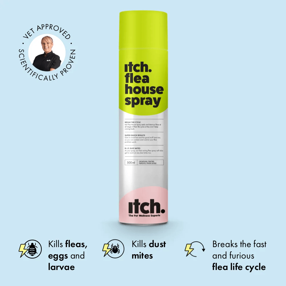 Itch Flea House Spray