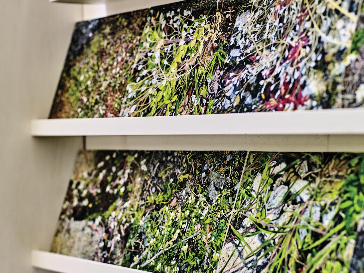 Paintings on a shelf