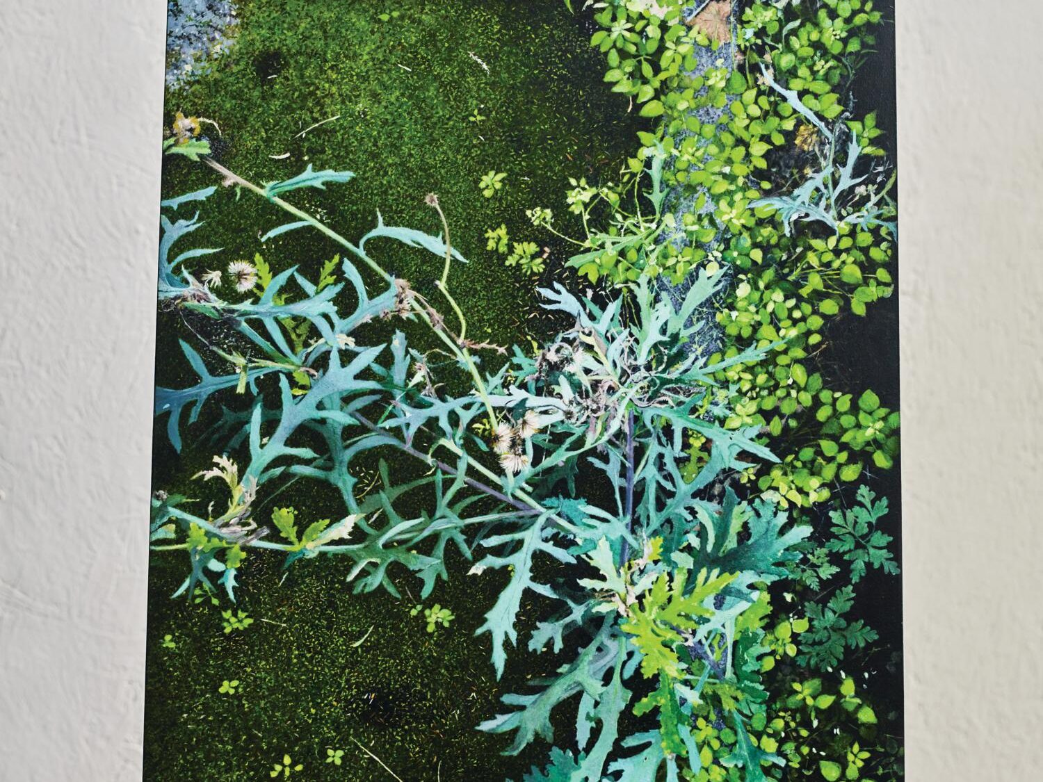 Green plants in a painting on an easel