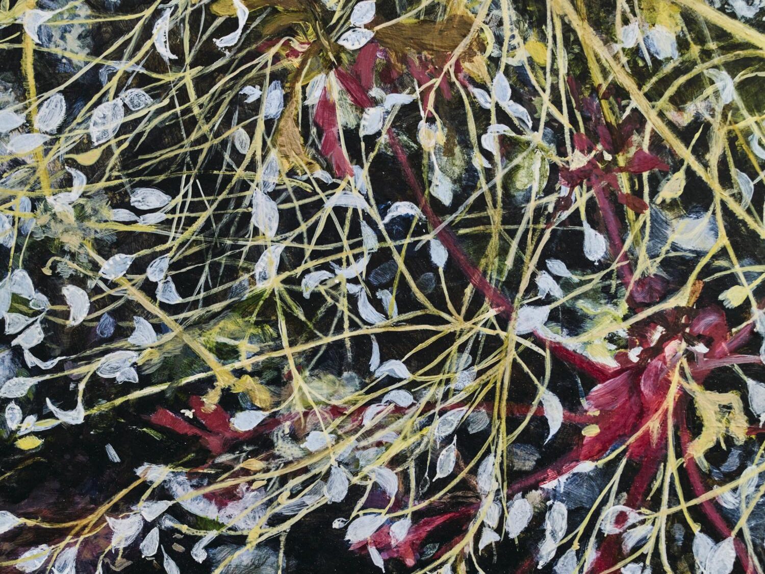 White and red plants in a painting