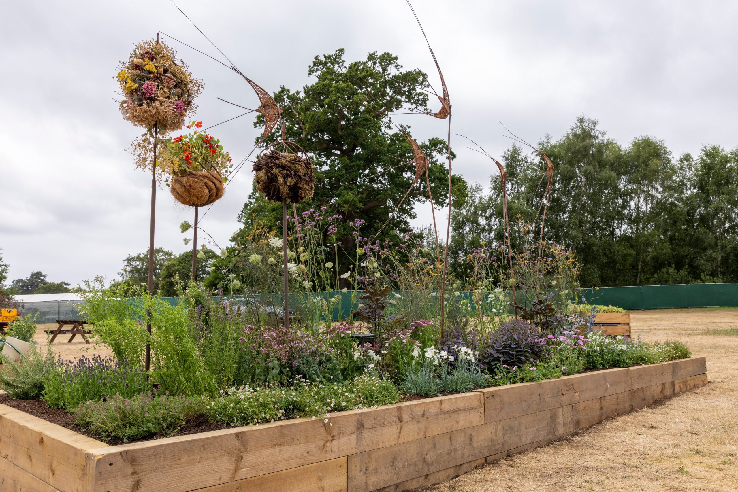 Nature Nurtures. Designed by Sarah McLean-Barr. Long Border. RHS Sandringham Flower Show 2026.