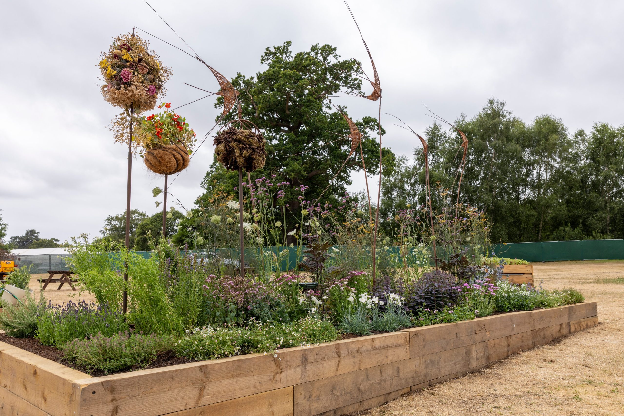 Nature Nurtures. Designed by Sarah McLean-Barr. Long Border. RHS Sandringham Flower Show 2026.