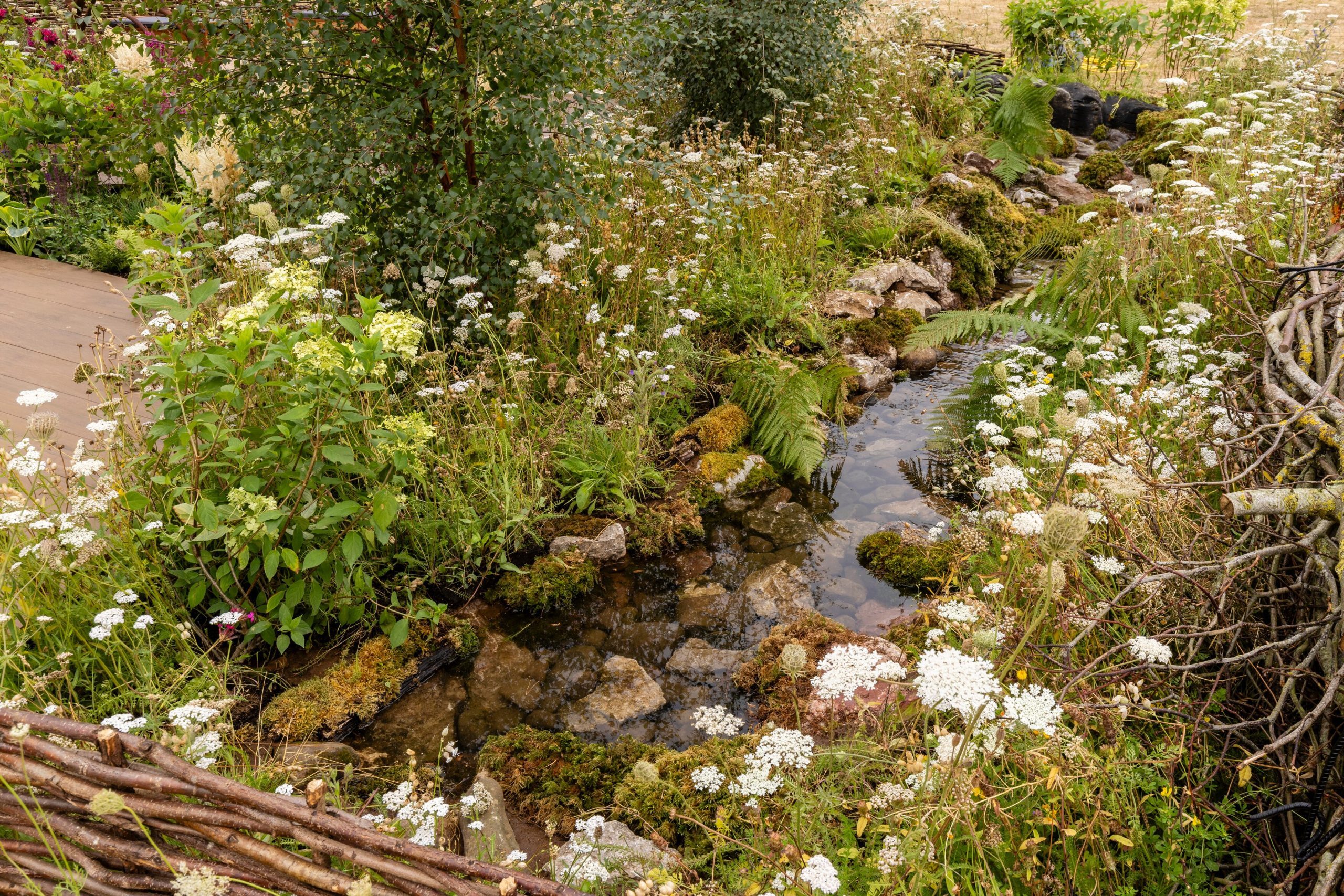 Mindful Meadowlands. Designed by Constructing Minds with Nature CIC. Grow Forward Garden. RHS Sandringham Flower Show 2026. 