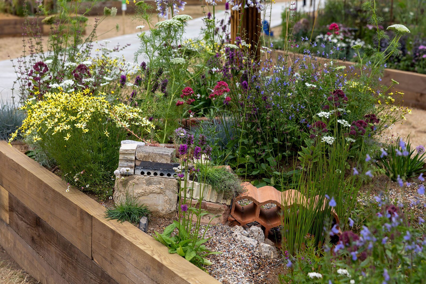 Tough as Old Boots Garden. Designed by Zac Willitts and James Horne. Long Border. RHS Sandringham Flower Show 2026. 