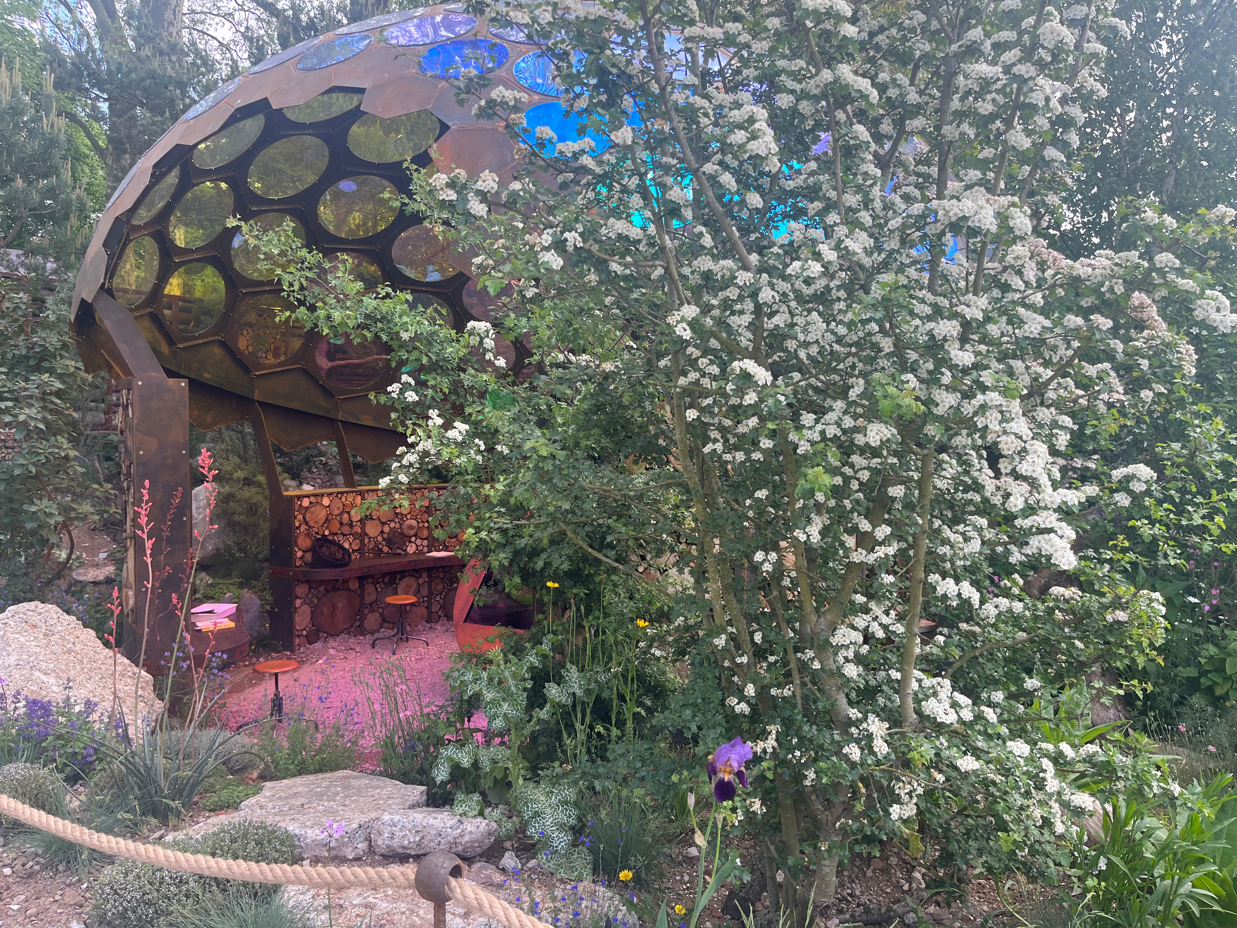 Chelsea Flower Show Garden 2023: The Royal Entomological Society Garden. Designed by Tom Massey. Sponsored by Royal Entomological Society and Project Giving Back.