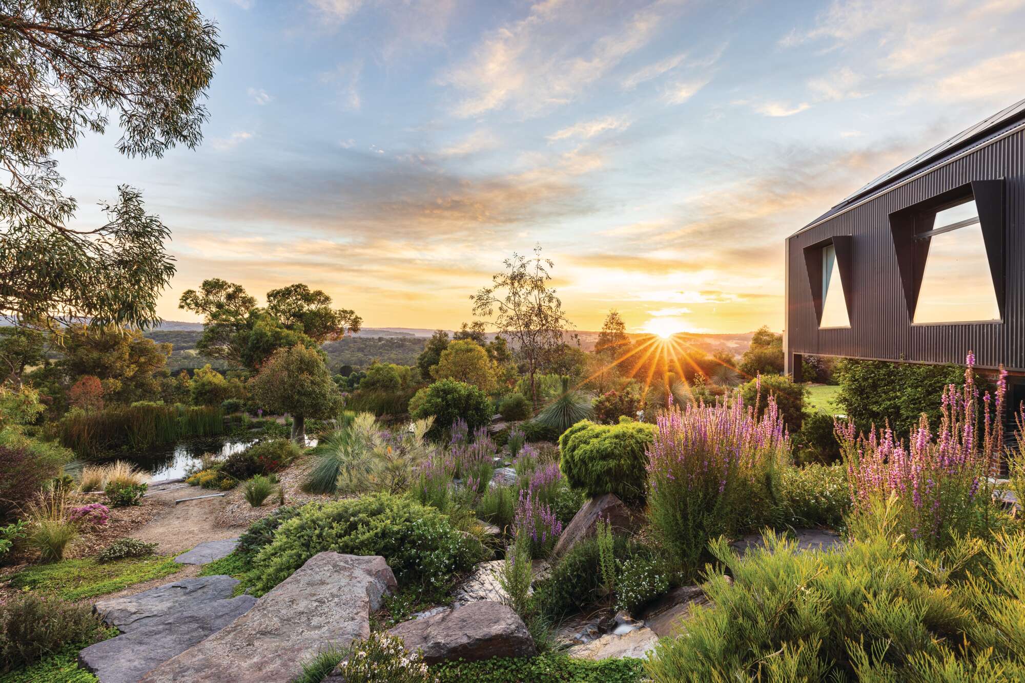 Phillip Johnson garden in Narre Warren East, Australia