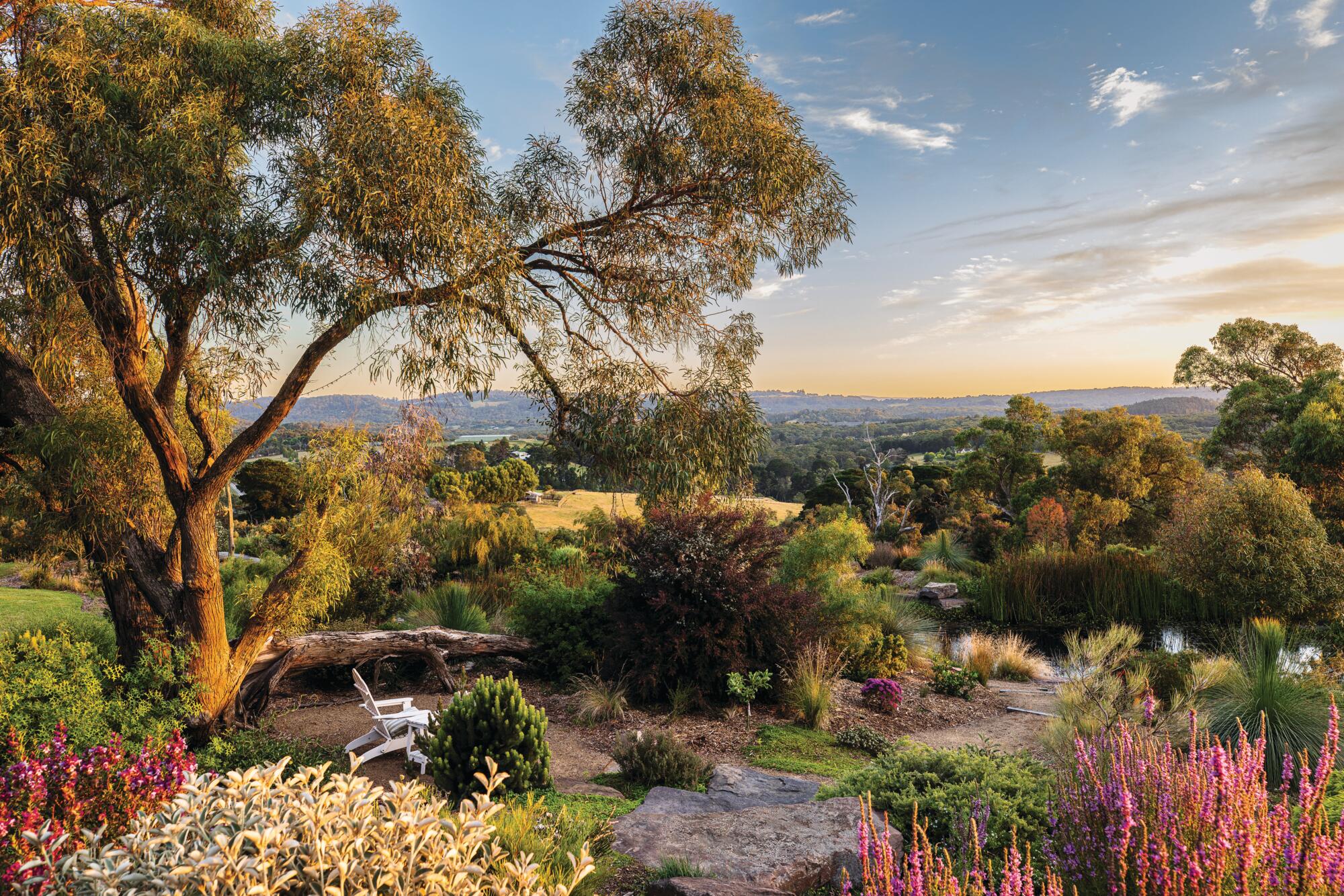 Phillip Johnson garden in Narre Warren East, Australia