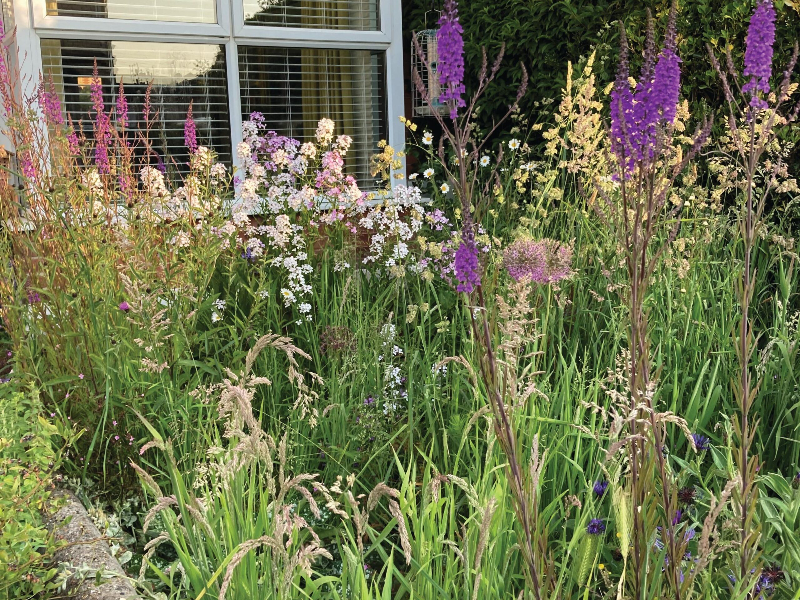Garden writer Kate Bradbury has filled her small garden near Brighton with plants to encourage wildlife.