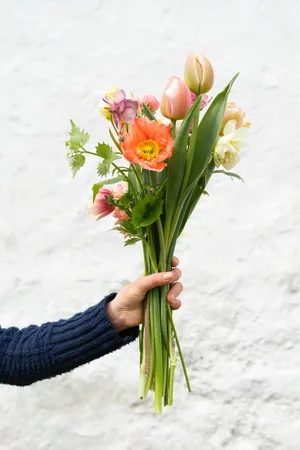 Cut Flowers © Zoe Schaeffer / unsplash Cut Flowers © Zoe Schaeffer / unsplash