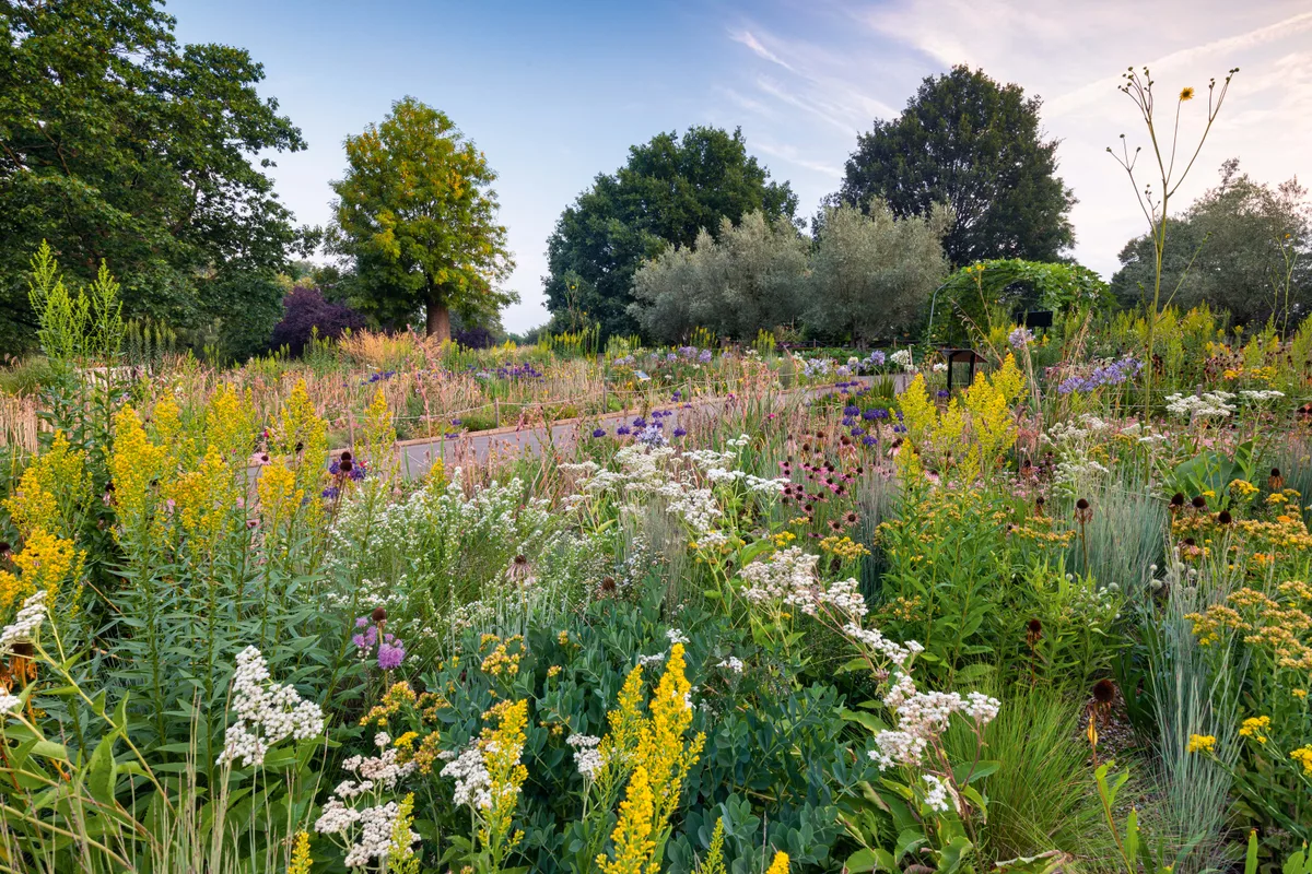 The Grasslands Garden at the Horniman Museum, London. Designed by Dr James Hitchmough The Grasslands Garden at the Horniman Museum, London. Designed by Dr James Hitchmough