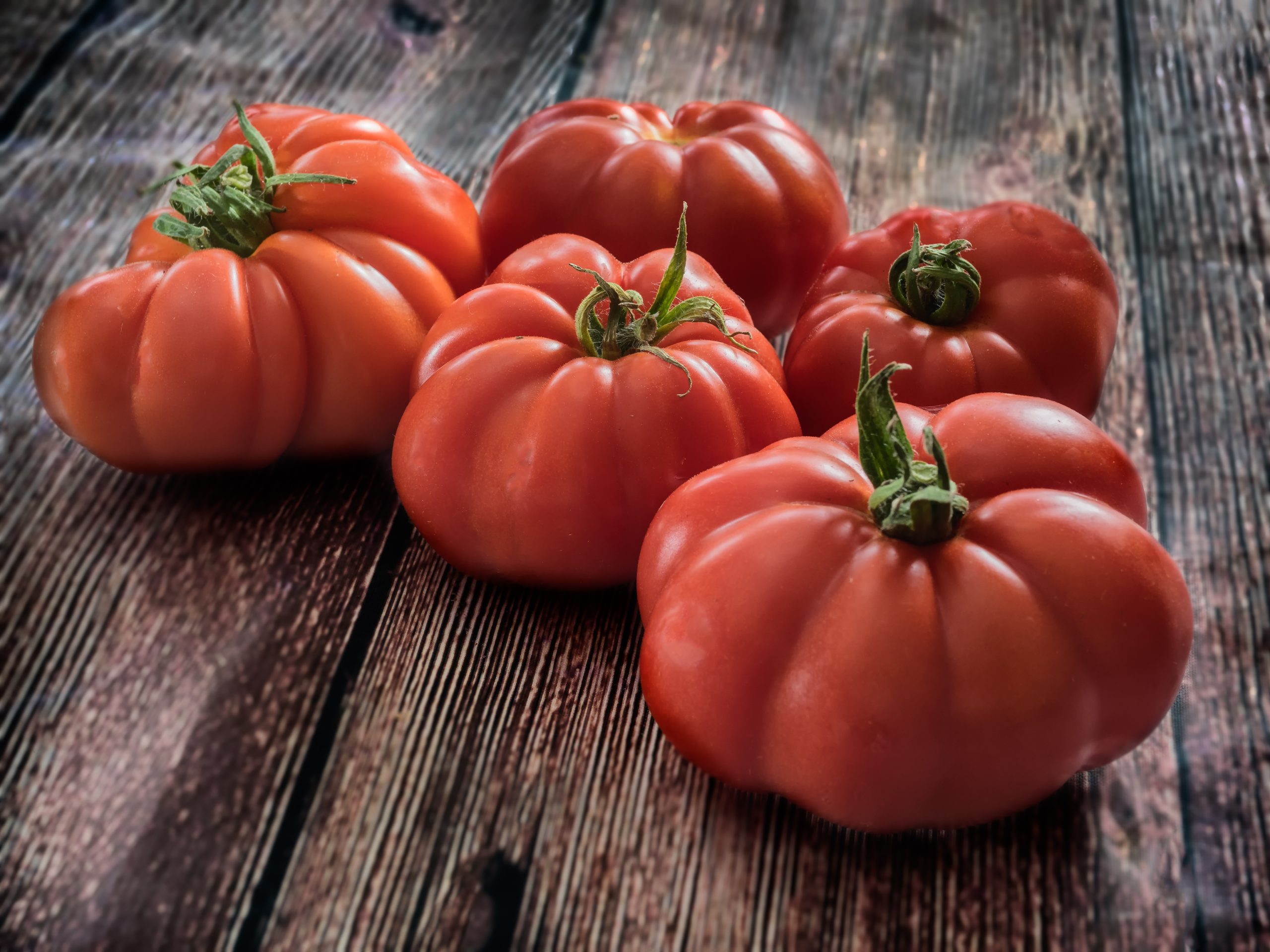Tomato 'Marmande'