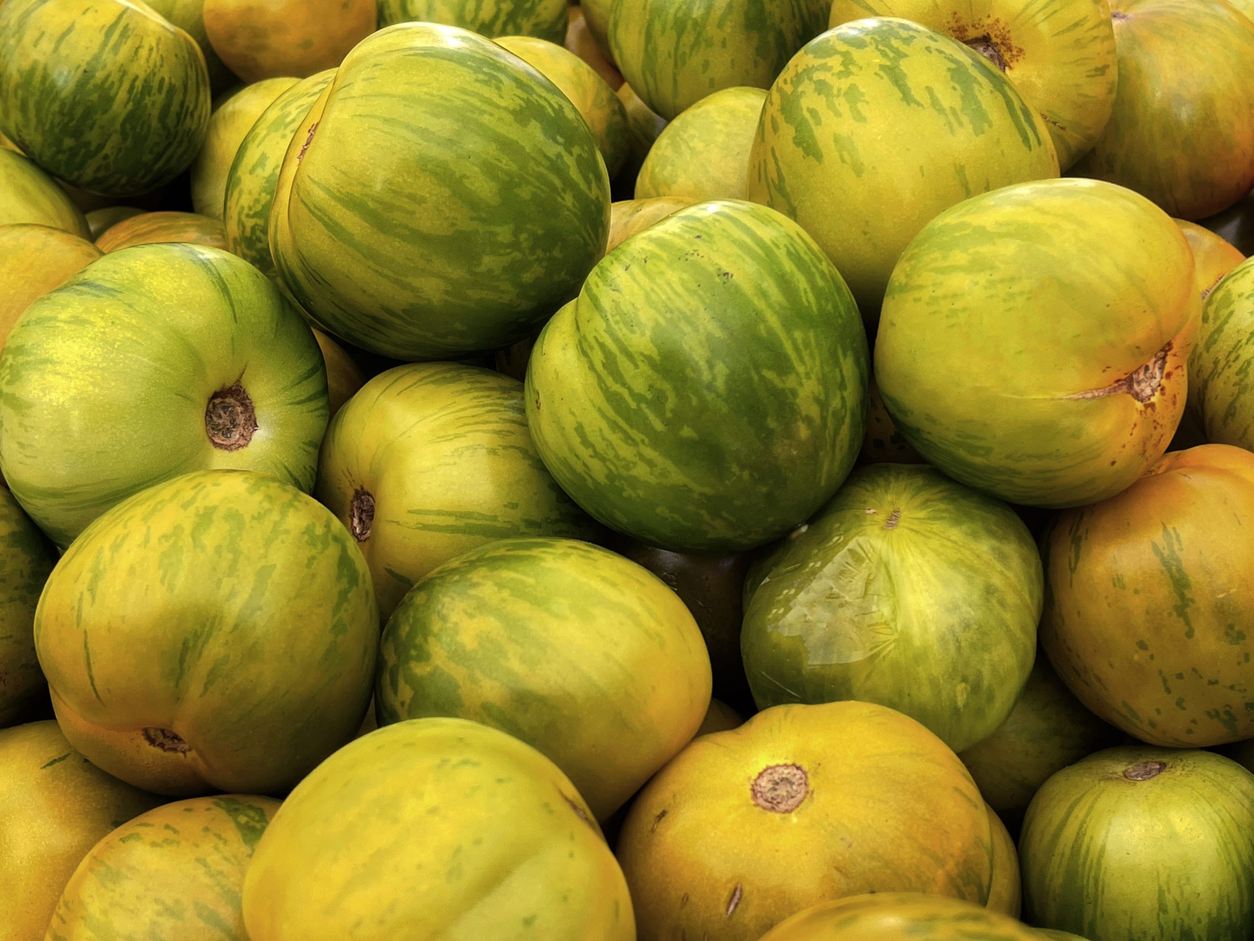 Tomato 'Green Zebra'