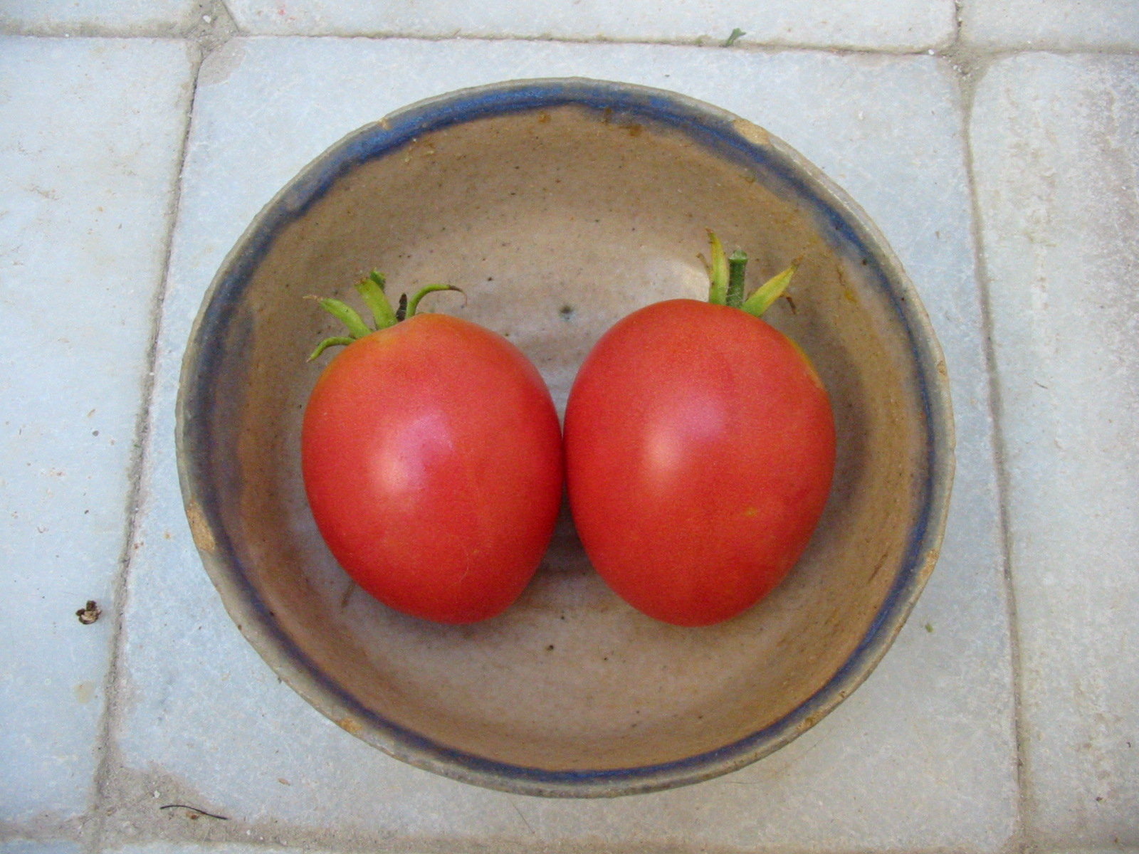 Tomato Grushovka