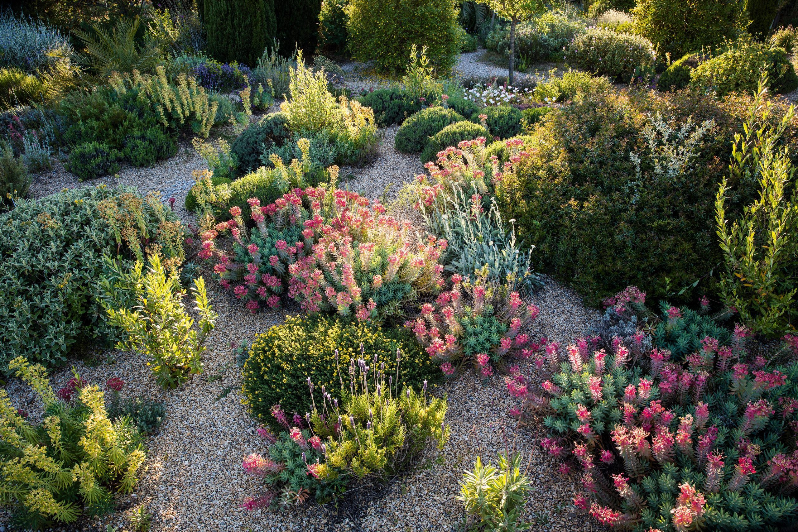 Olivier Filippi's dry garden in France Olivier Filippi's dry garden in France