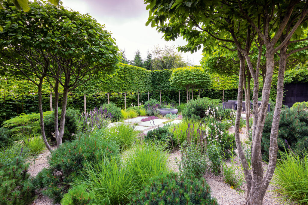 A gravel garden designed by Colm Joseph