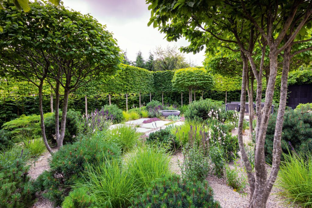 A gravel garden designed by Colm Joseph