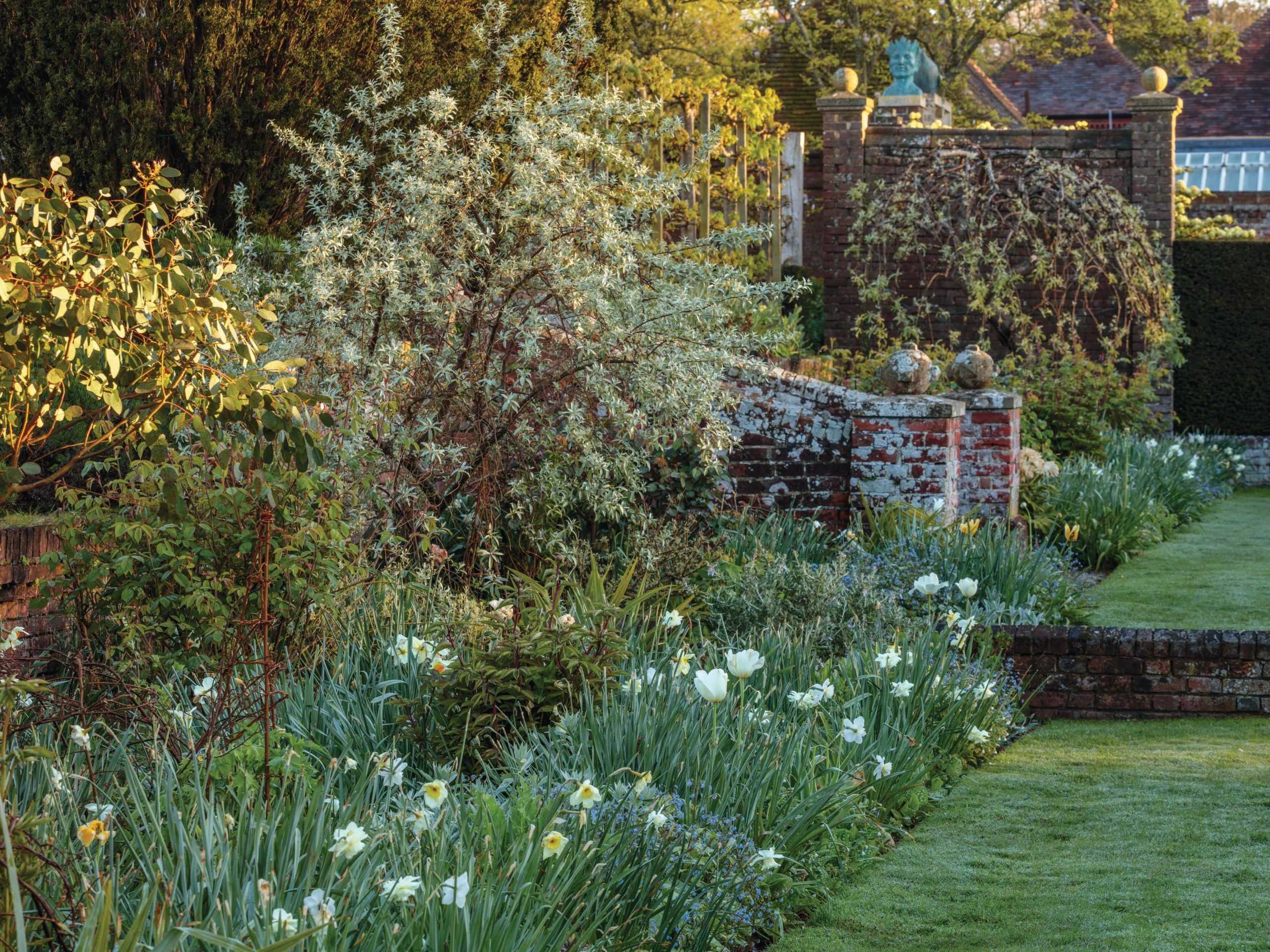 Garden in bloom