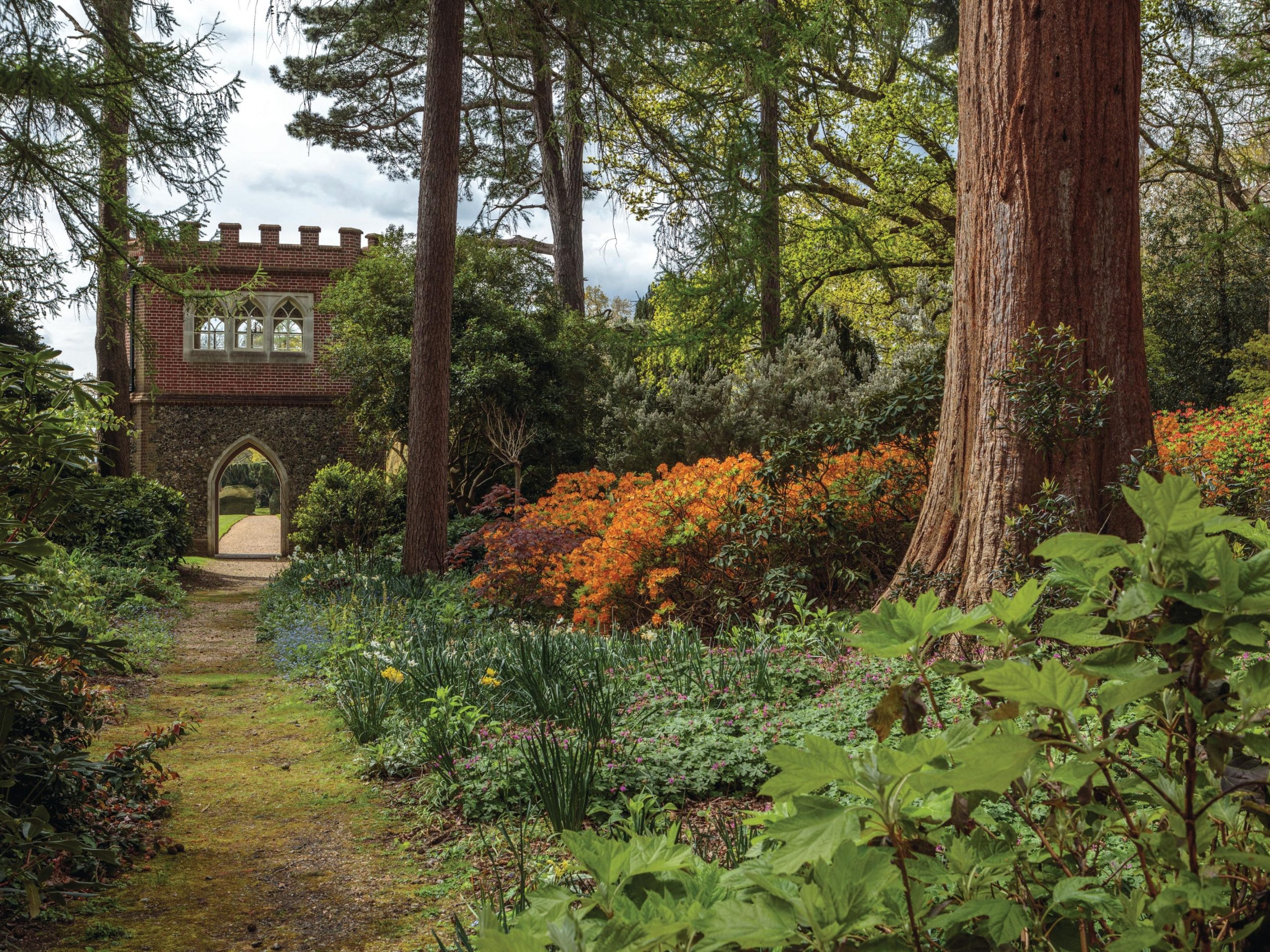 Woodland garden