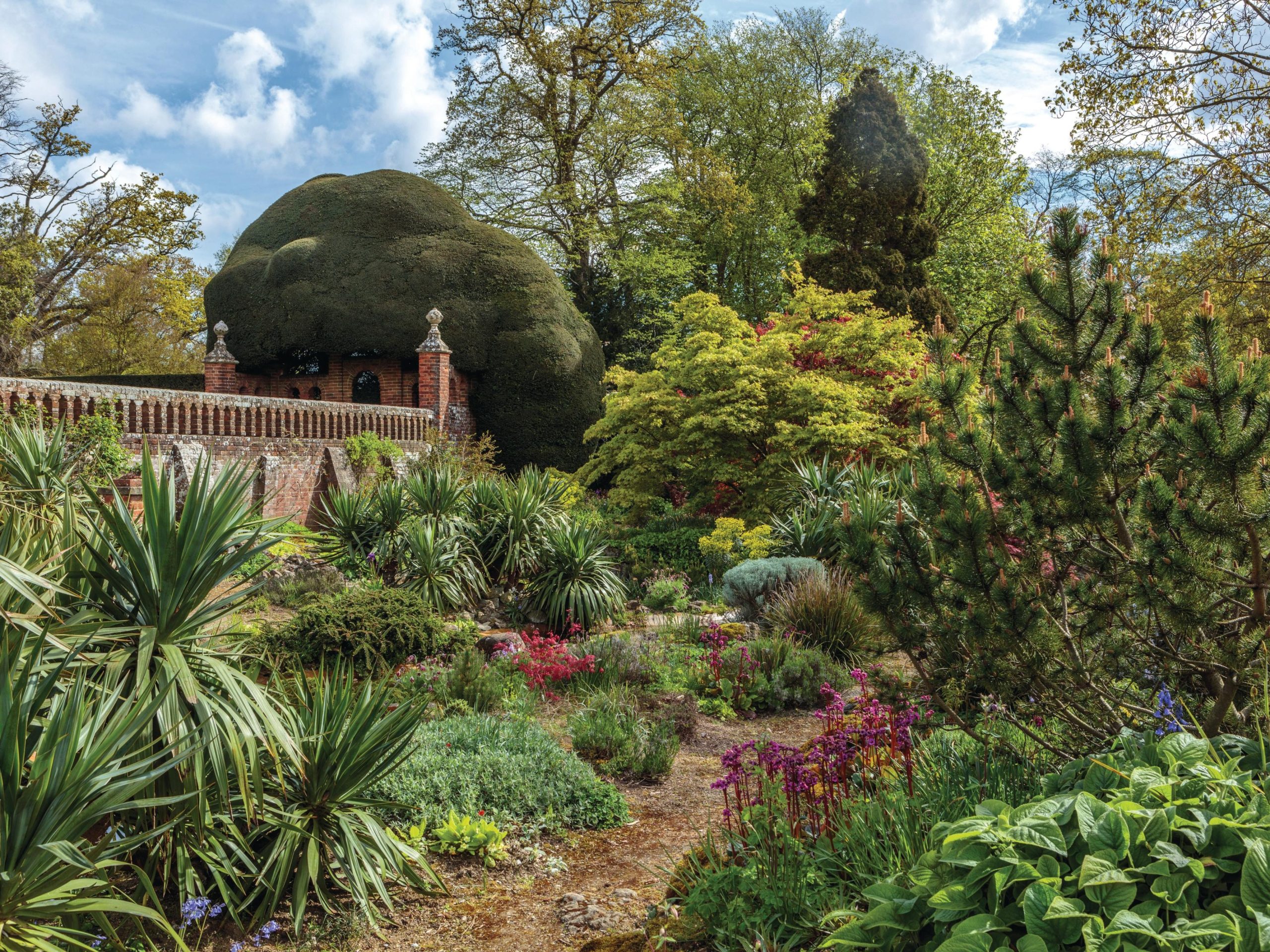 Tropical style garden