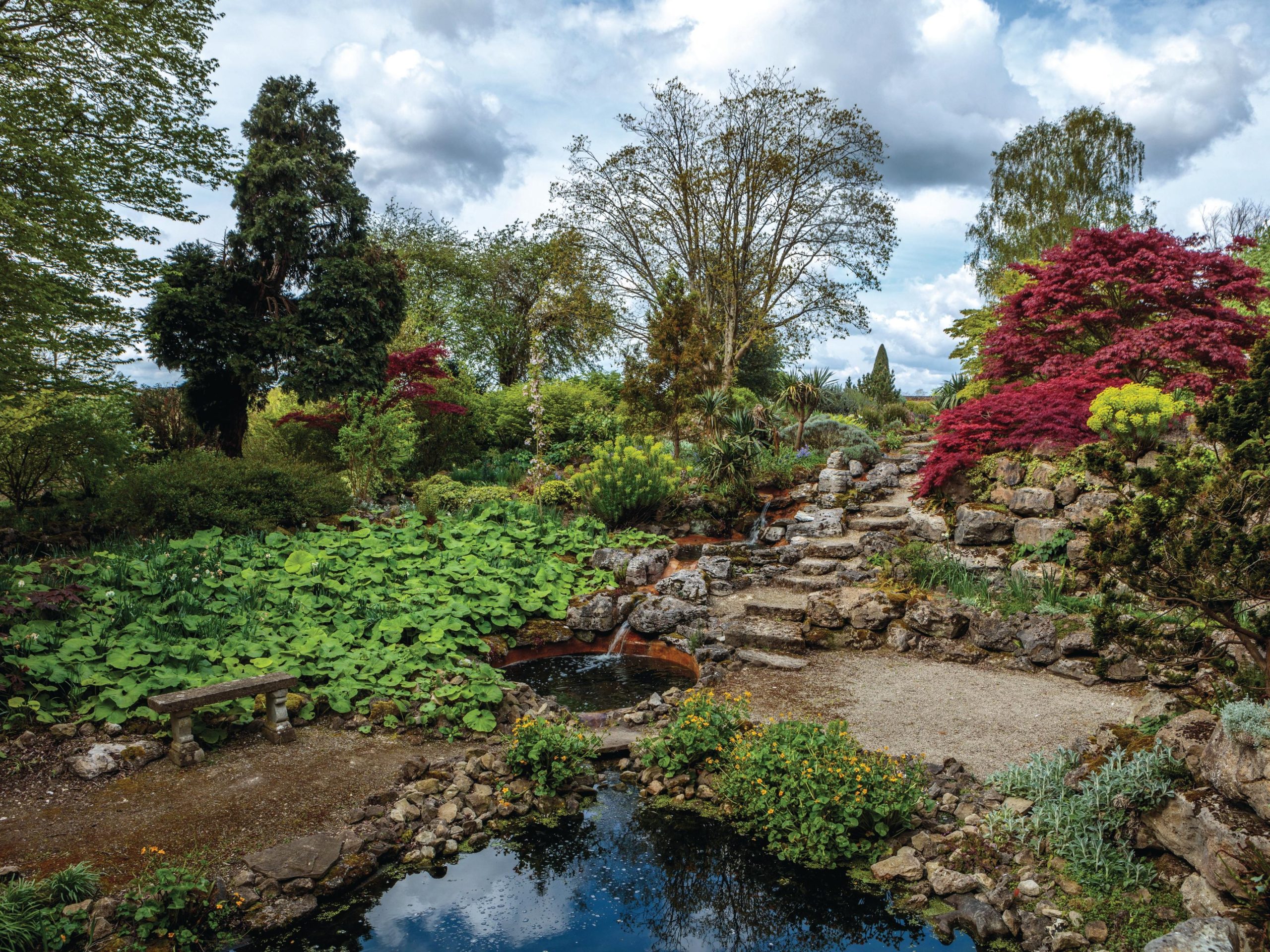 Garden pond surrounded by shrubs