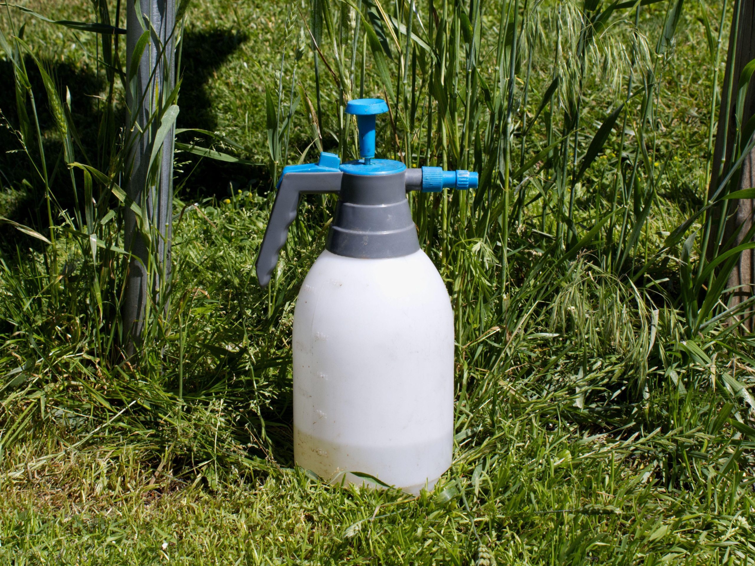 A Close Up of a Small Spray Bottle Containing Weed Killer