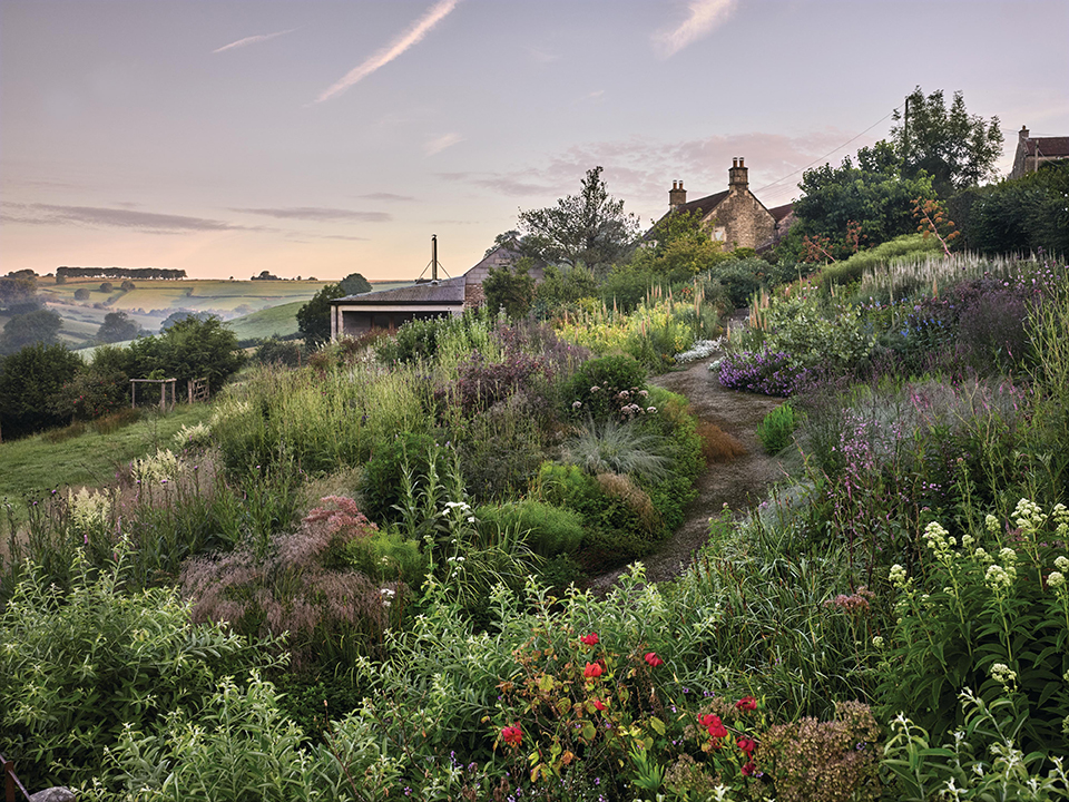 Dan Pearson's Hillside garden
