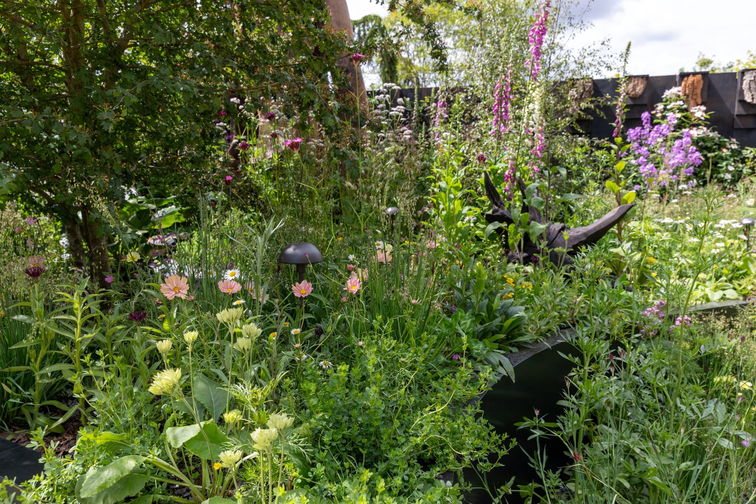 The Bat Conservation Trust garden 