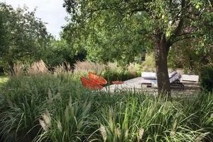 Barbara Samitier-designed London garden Barbara Samitier-designed London garden