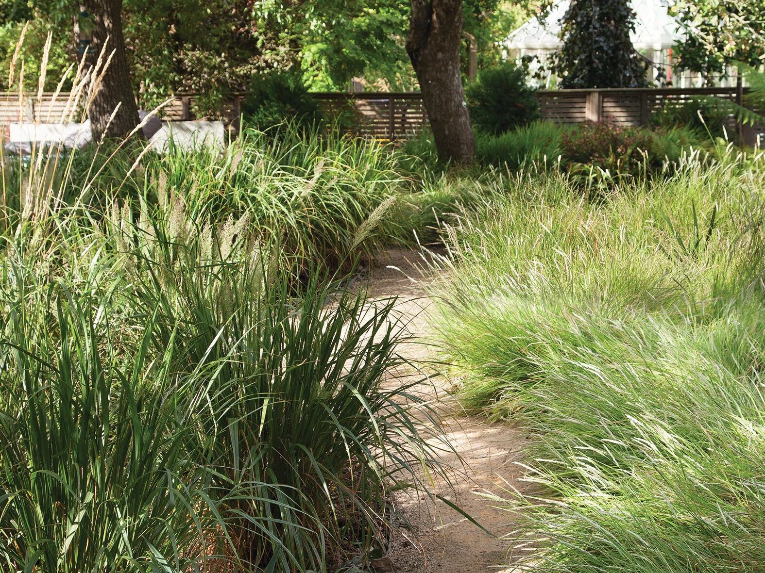 Barbara Samitier-designed London garden