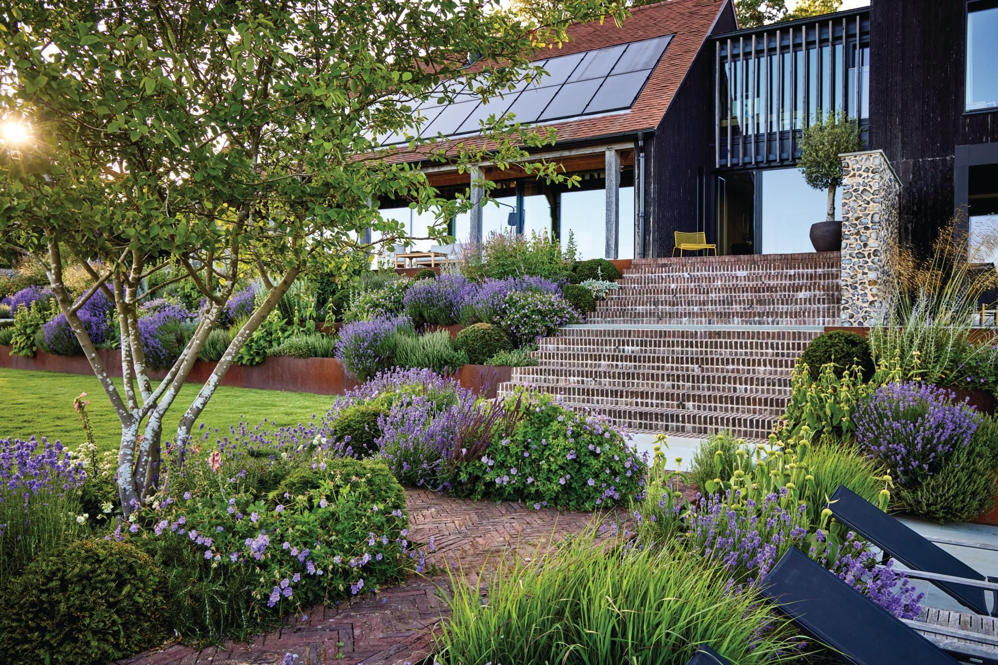 Steps leading up to a house with a tree and shrubs in foreground