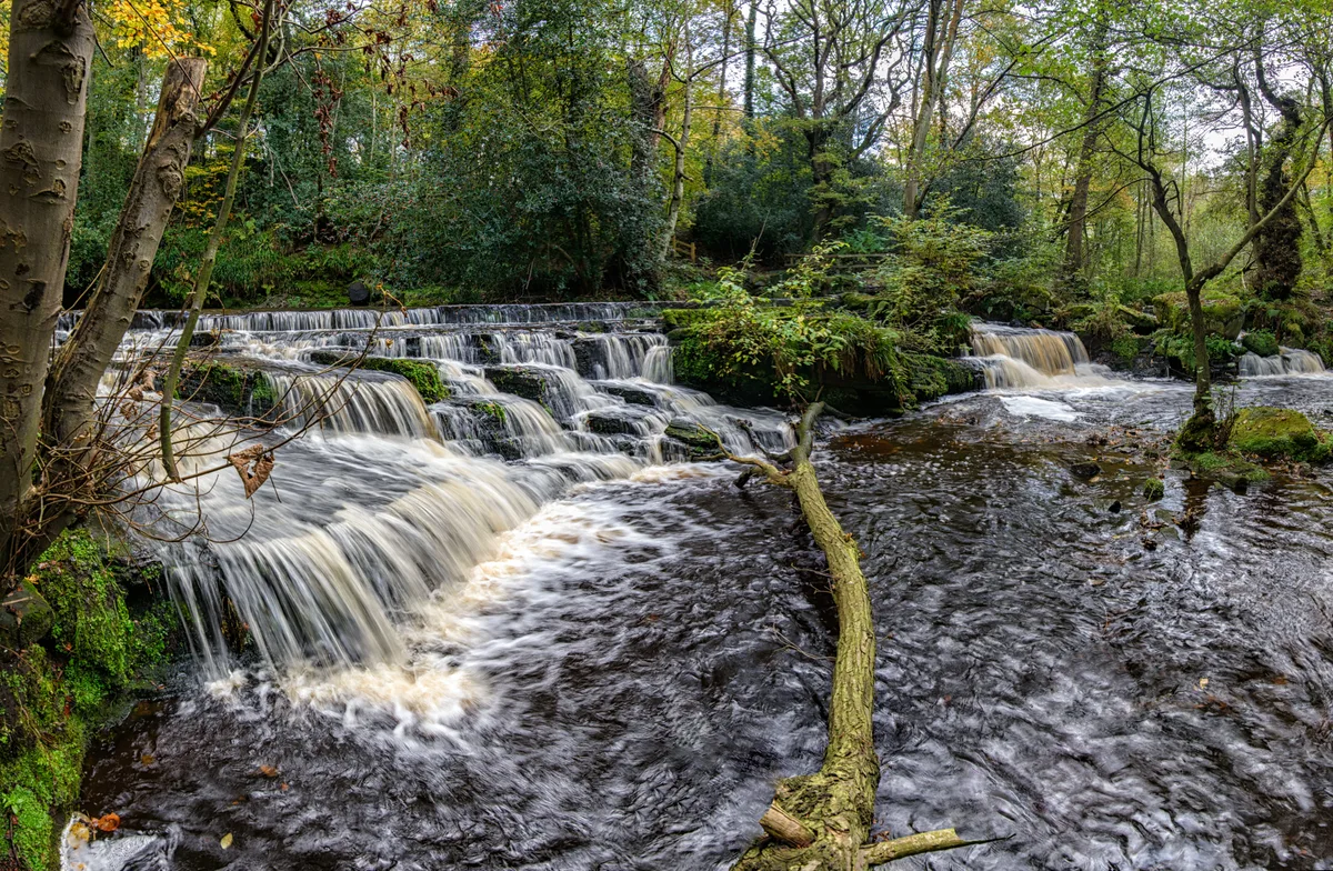 The River Rivelin, flowing down towards Sheffield The River Rivelin, flowing down towards Sheffield
