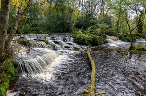 The River Rivelin, flowing down towards Sheffield The River Rivelin, flowing down towards Sheffield