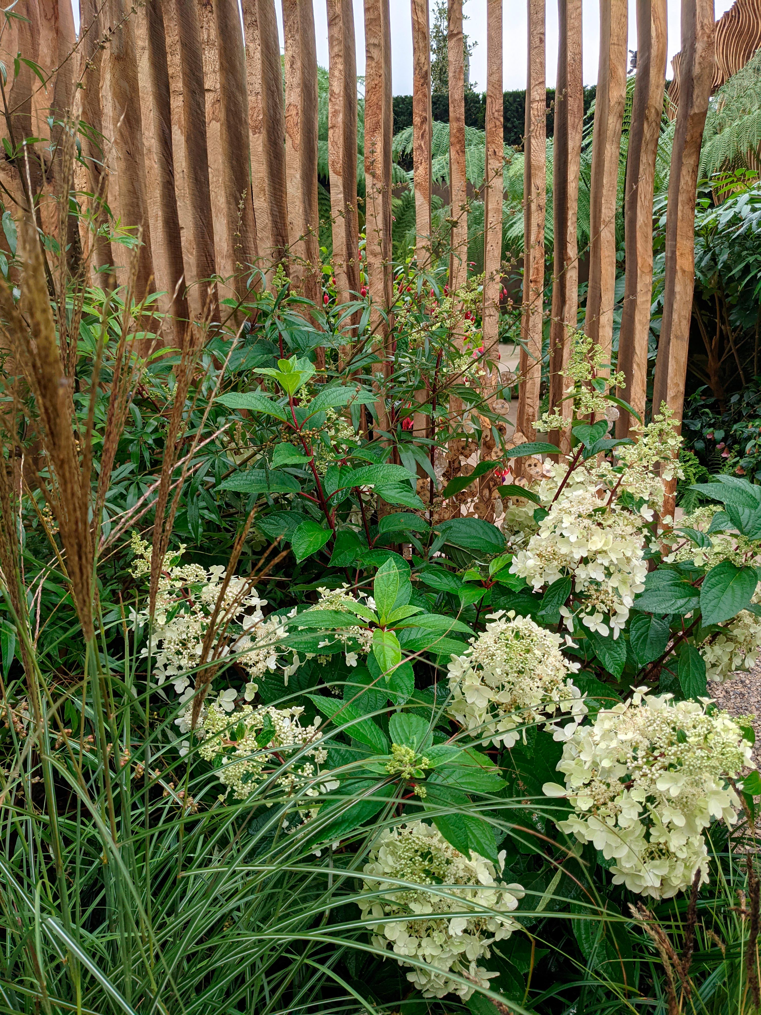 The Boodles Secret Garden at Chelsea 2021