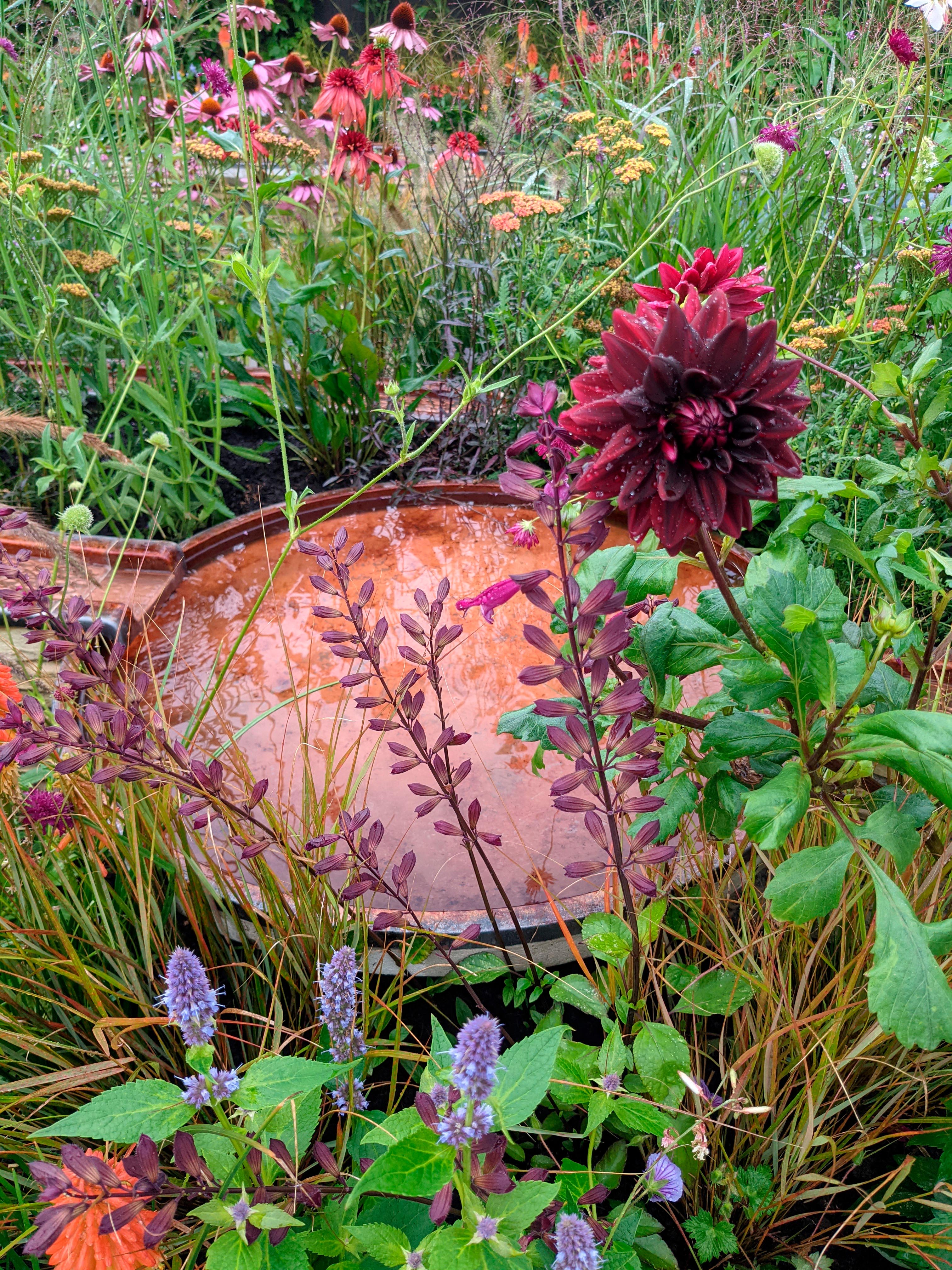 The Finding Our Way: NHS Tribute Garden at Chelsea 2021
