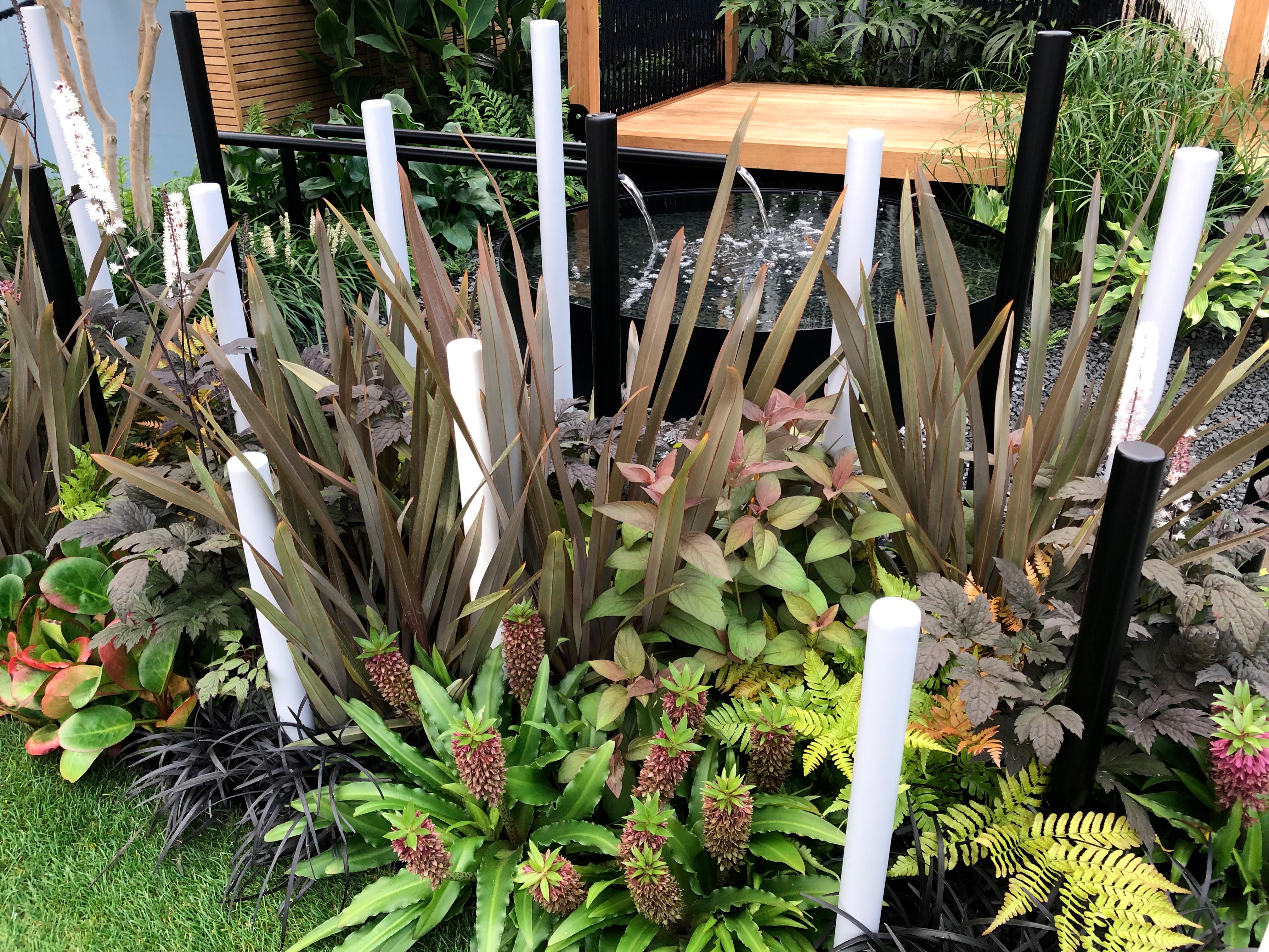 The Calm of Bangkok garden at Chelsea 2021