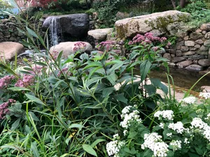 IMG_4829 The Psalm 23 Garden at Chelsea 2021