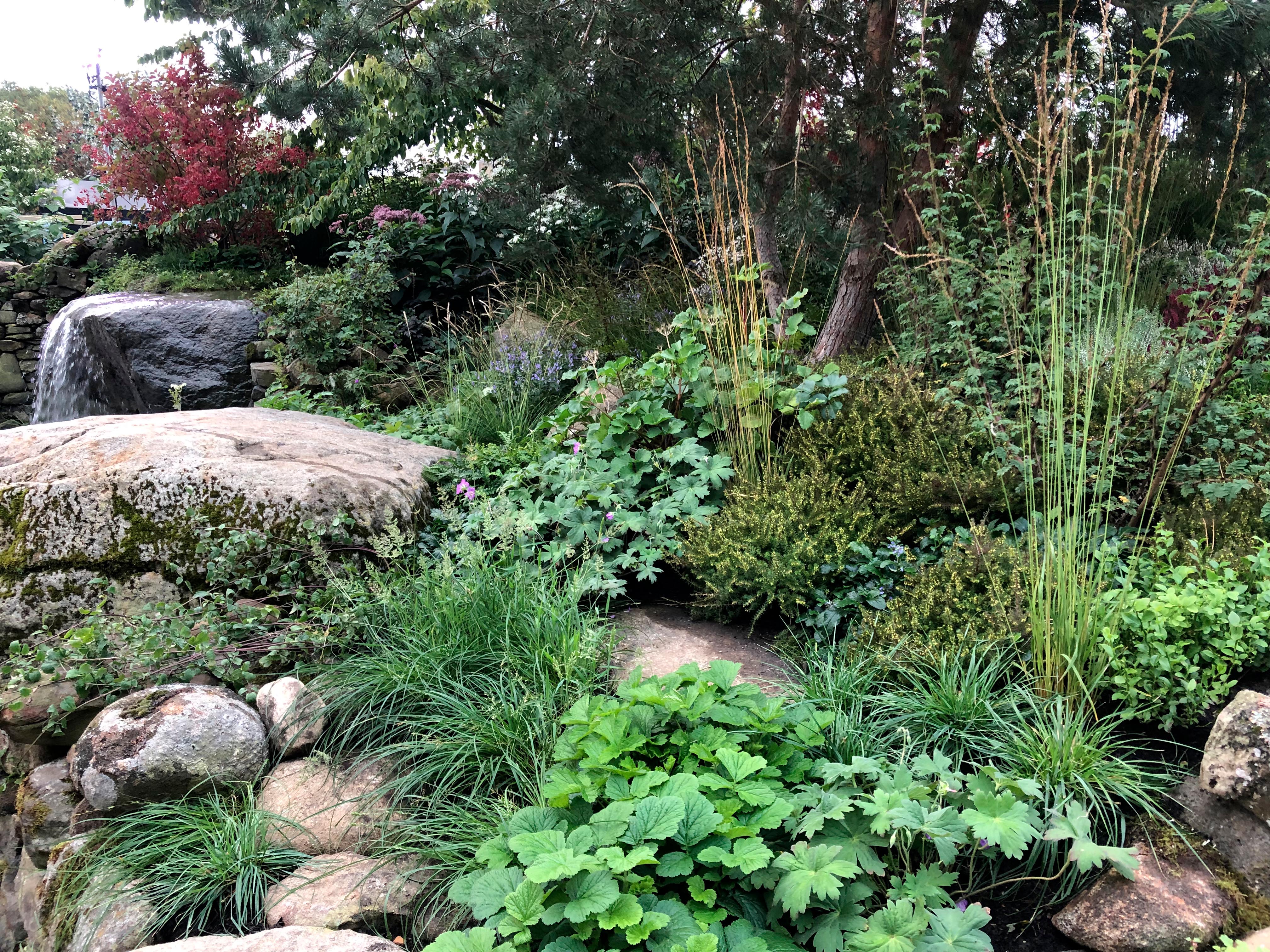 The Psalm 23 Garden at Chelsea 2021
