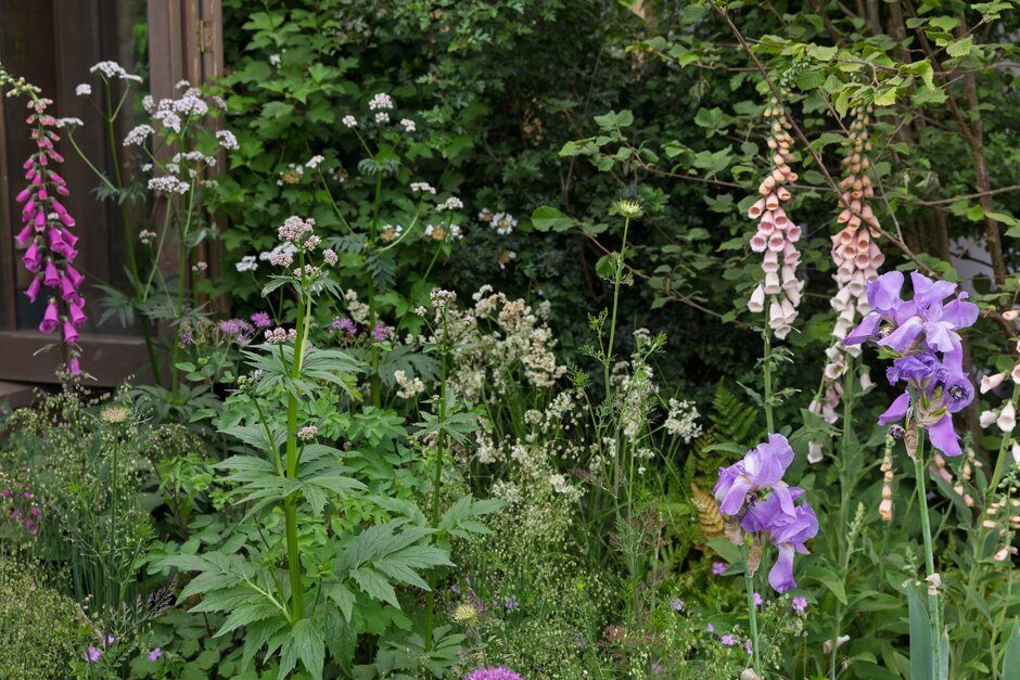 Planting in Matthew Butler and Josh Parker's Garden of the Future at RHS Chelsea Flower Show 2025