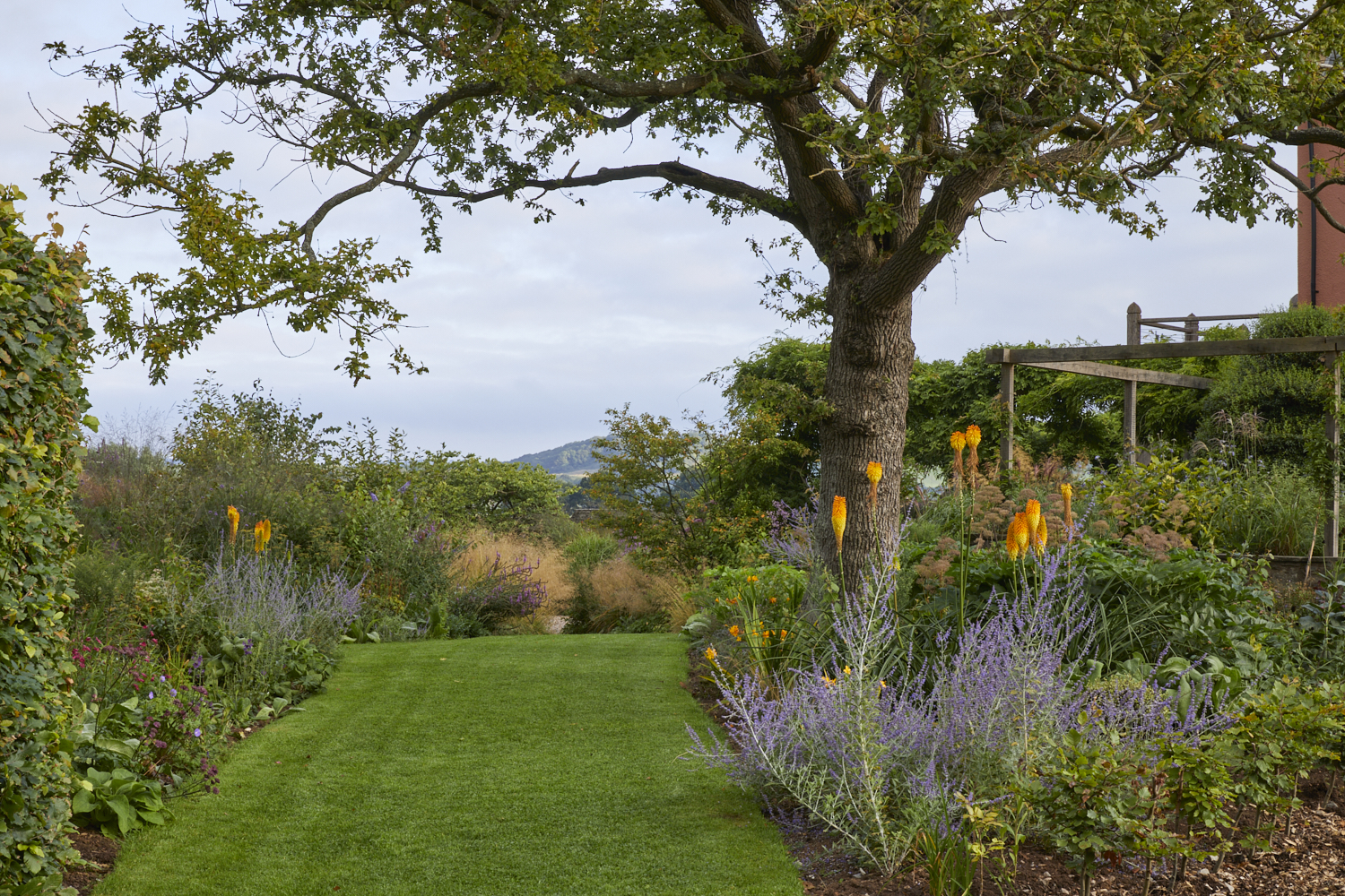 Yeo Valley Organic Garden