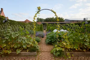 Yeo Valley Organic Garden Yeo Valley Organic Garden