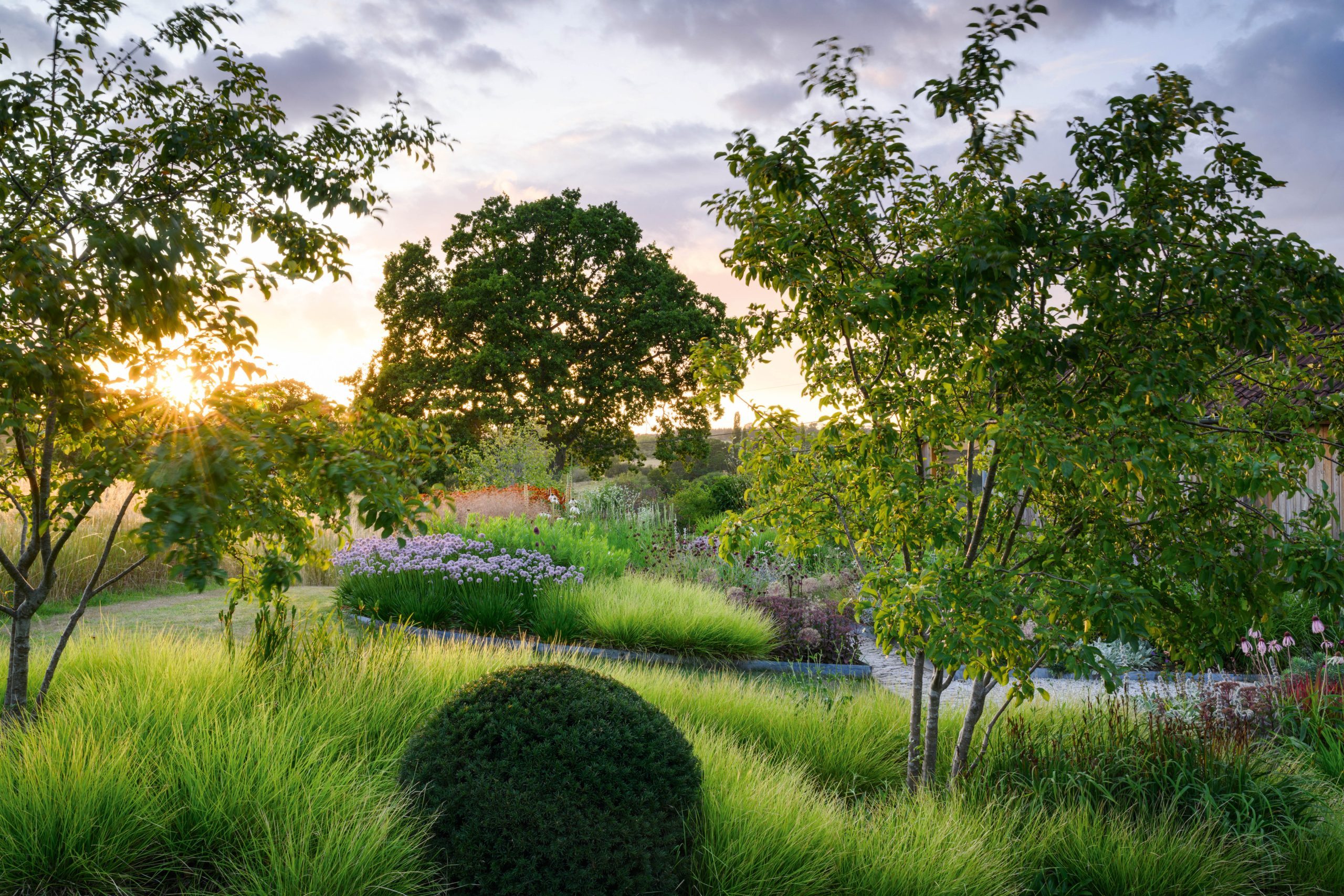 Sheila Jack's garden in Wiltshire