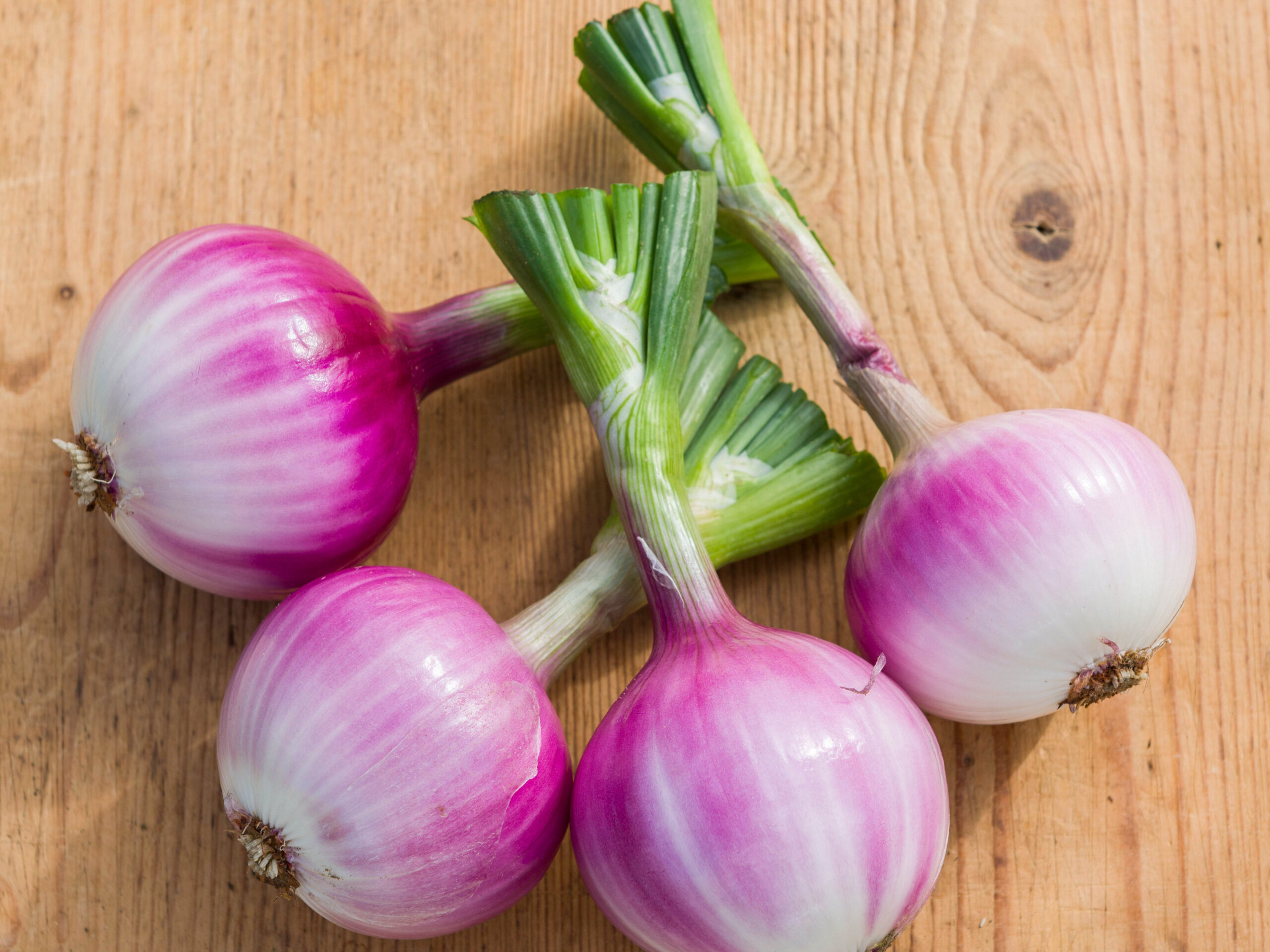 Onion 'Ruby Red'