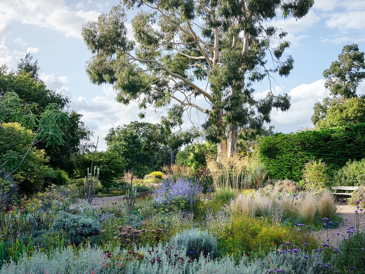 Beth Chatto's gravel garden © Julie Skelton Beth Chatto's gravel garden