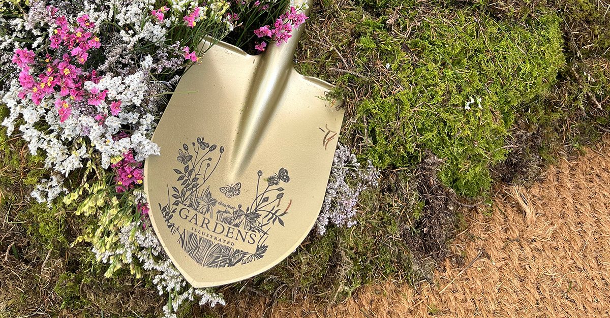 The exclusive Niwaki spade for Gardens Illustrated with illustration from Celia Hart
