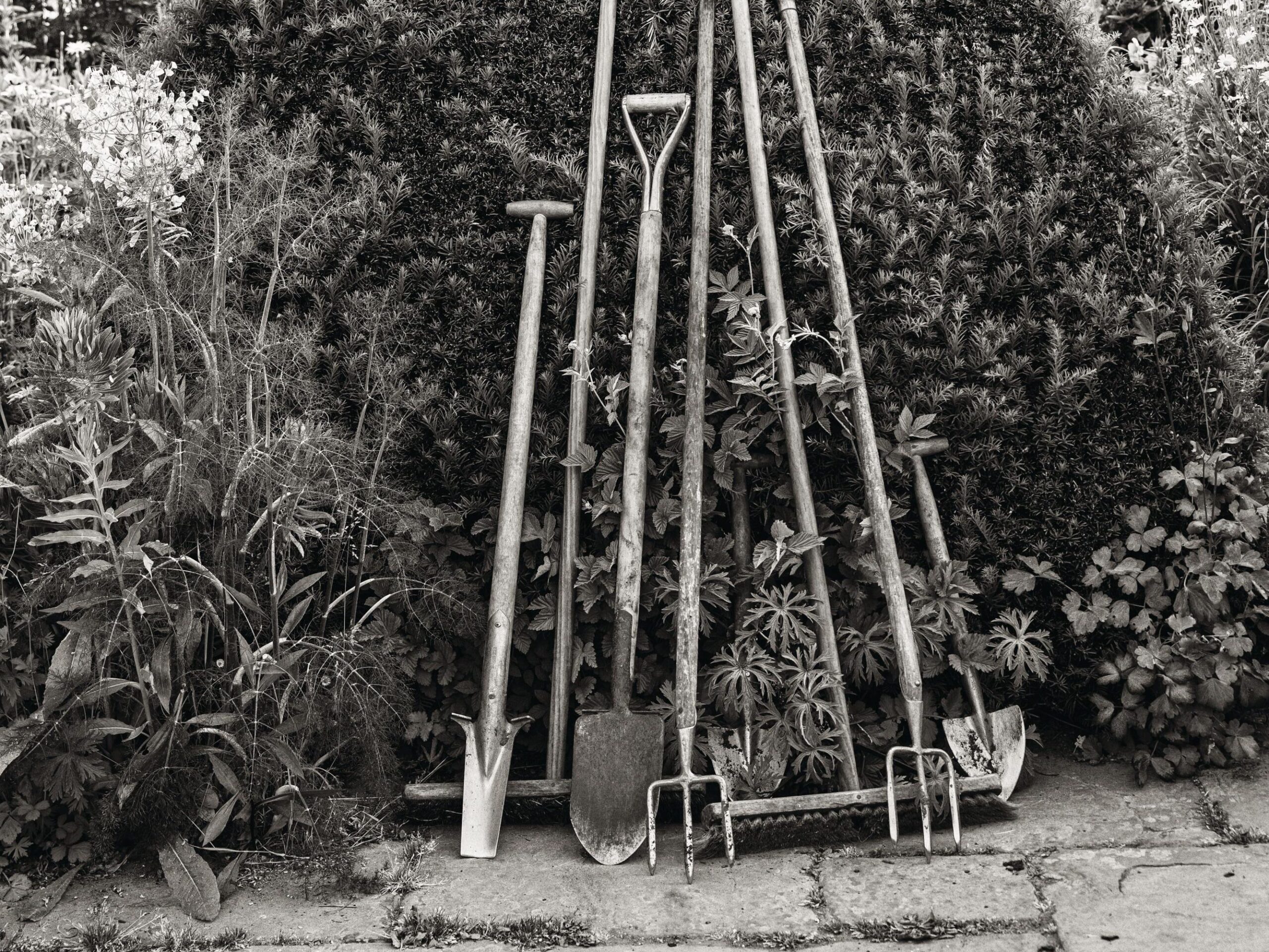 Great Dixter © Richard Bloom